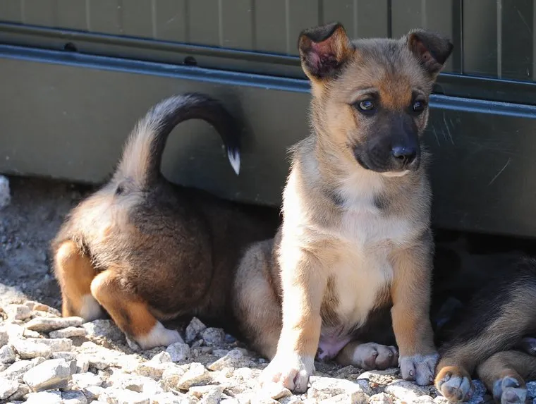 Чебаркульская танковая бригада. Челябинская область.