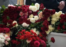 Фотография из галереи