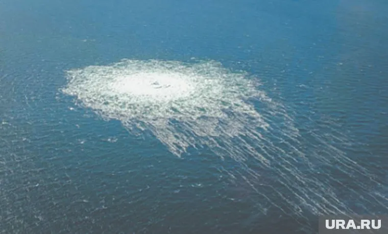 Риццо: правда о том, кто совершил теракты на «Северных потоках», выходит наружу