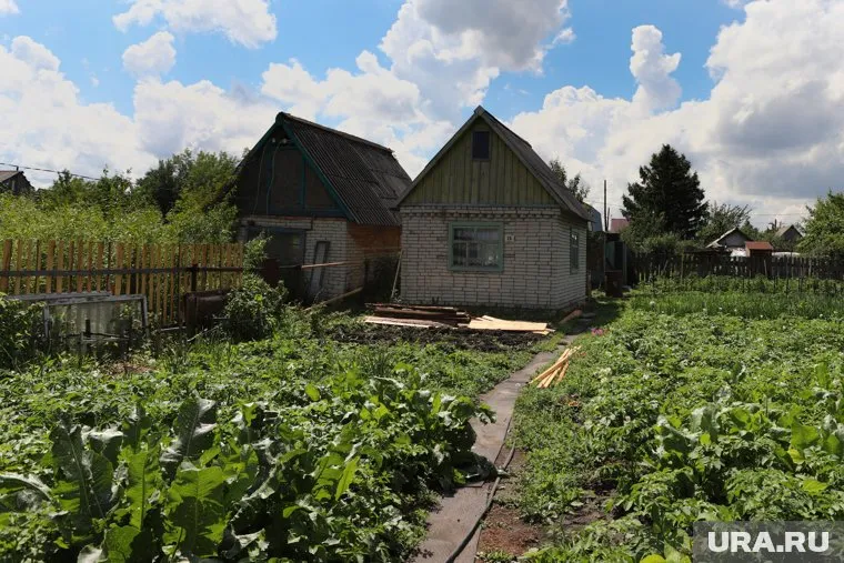 Жителей обвиняют в нелегальном поливе огородов в жару