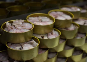 Фотография из галереи