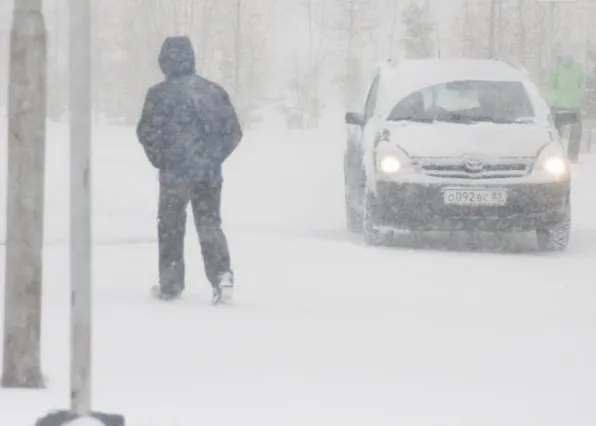 Фотография из галереи