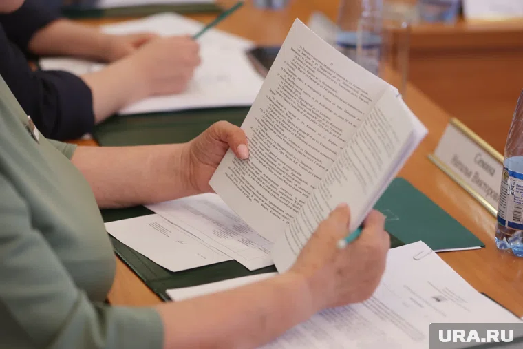 В курганского округе выбрать нового главу хотят в марте 2026 года