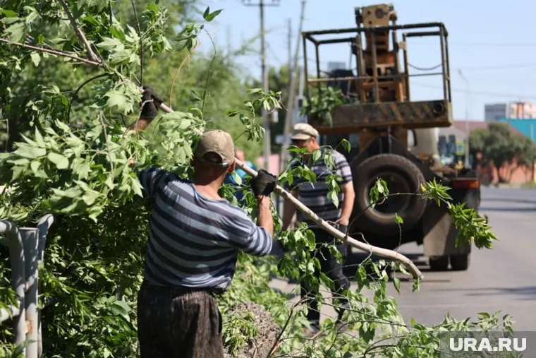 Регоператор признал свою обязанность по вывозу растительного мусора
