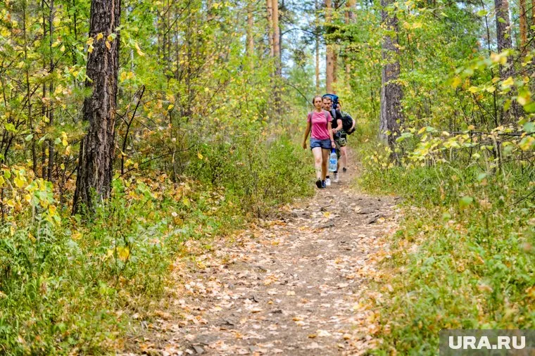 Днем в Челябинской области будет по-летнему тепло
