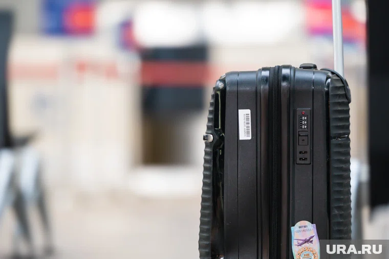 Пассажиры рейса Стамбул-Москва прилетели во Внуково без багажа