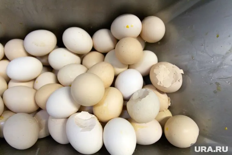 Яйца в тюменской «Ленте» теперь отпускают не больше десятка на руки