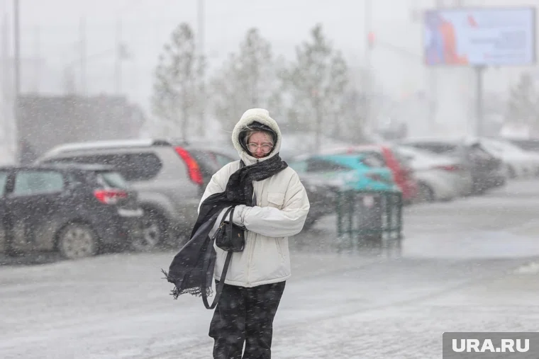 Порывы ветра усилятся до 17 м/с