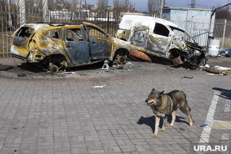 Из-за войны на Ближнем Востоке для Украины наступают нелегкие времена, сказал Дмитрий Песков