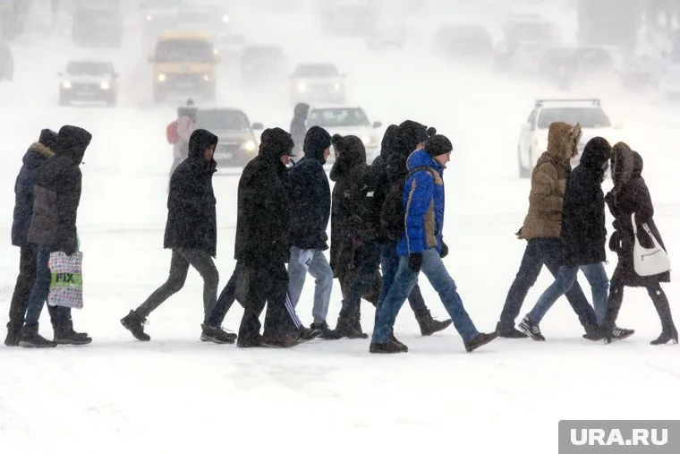Актированные дни объявили для учеников всех классов