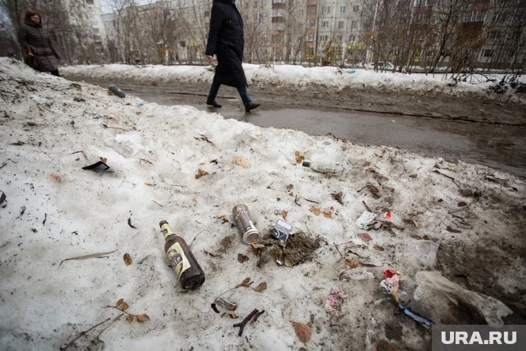 Водителей, которые бросают мусор из окон своих машин, будут наказывать