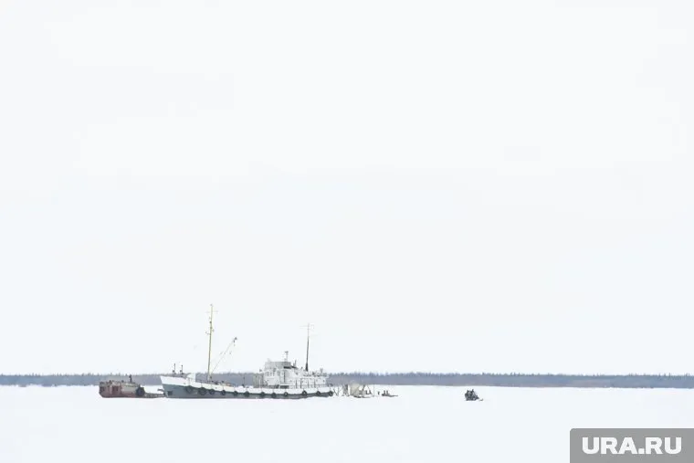 Решения проблем в Арктике будет трудно реализовать без участия России, заявил Бригэм