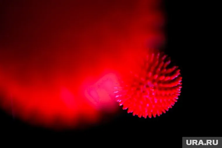 Игорь Никулин уверен, что коронавирус был создан искусственно