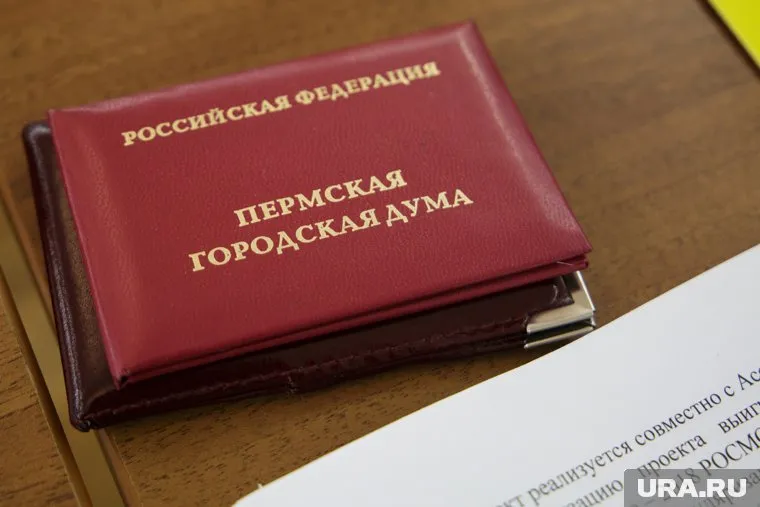 Общественница решила бороться за кресло депутата Пермской гордумы