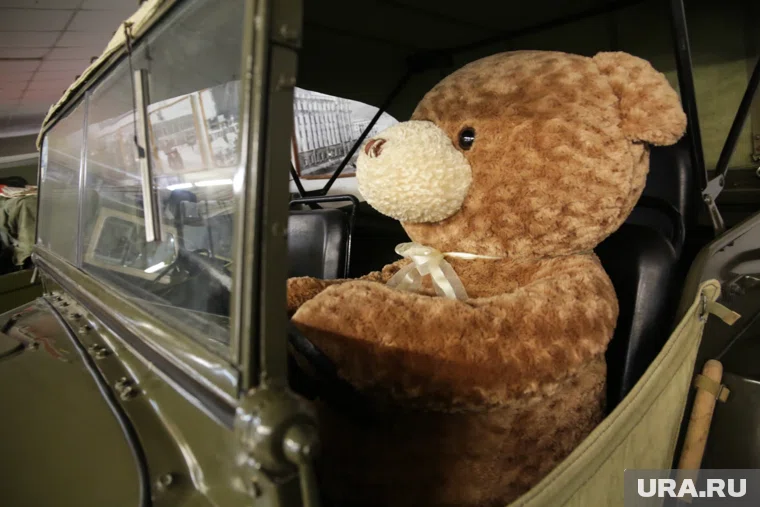 По всему миру отмечают День плюшевых мишек 27 октября 2025