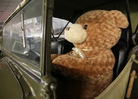 От дня библиотек до праздника плюшевого мишки: что отмечают 27 октября 2025