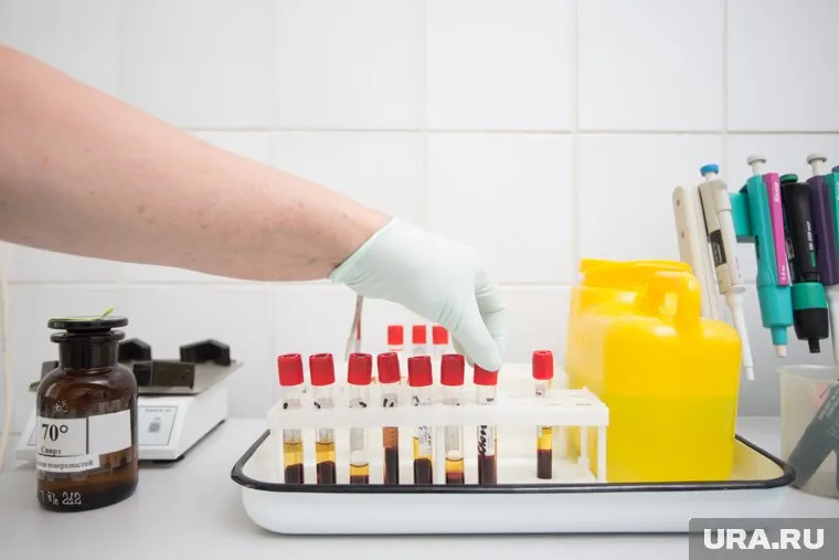 Пробы воздуха и воды в учебном заведении ничего опасного не выявили