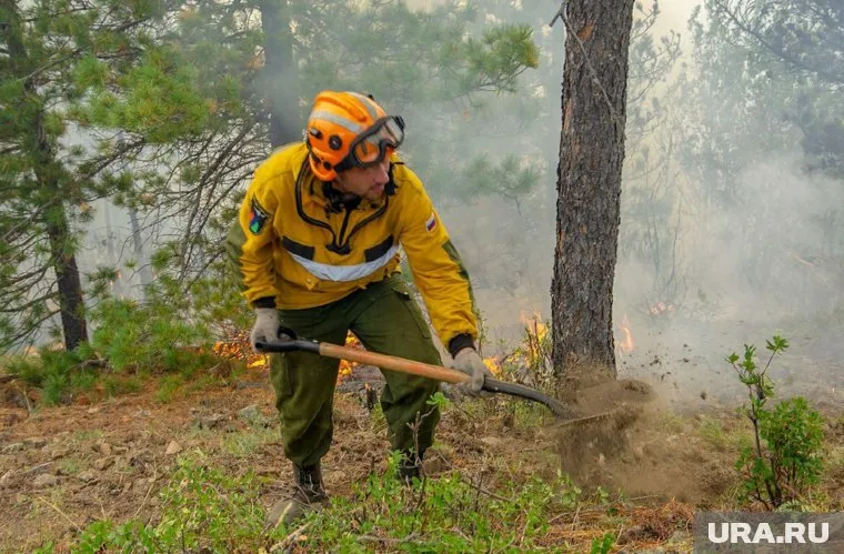 В Курганской области тушат 8 пожаров на 12 тысячах гектаров