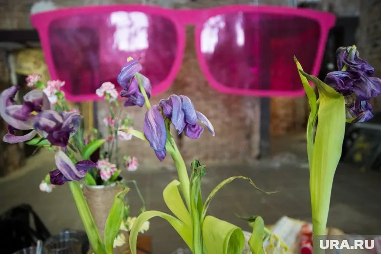 Украина намекнула на военную помощь, подарив Штайнмайеру букет ирисов