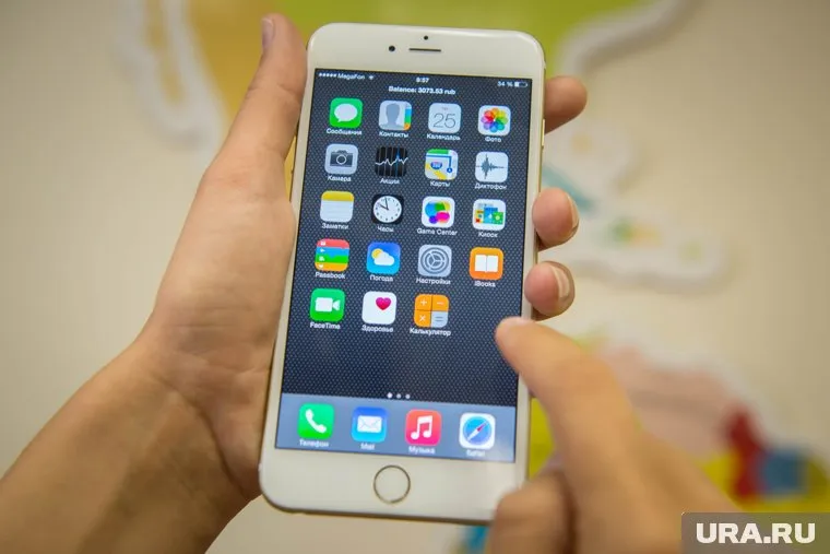 А вы ждете новый iPhone или решили сэкономить?