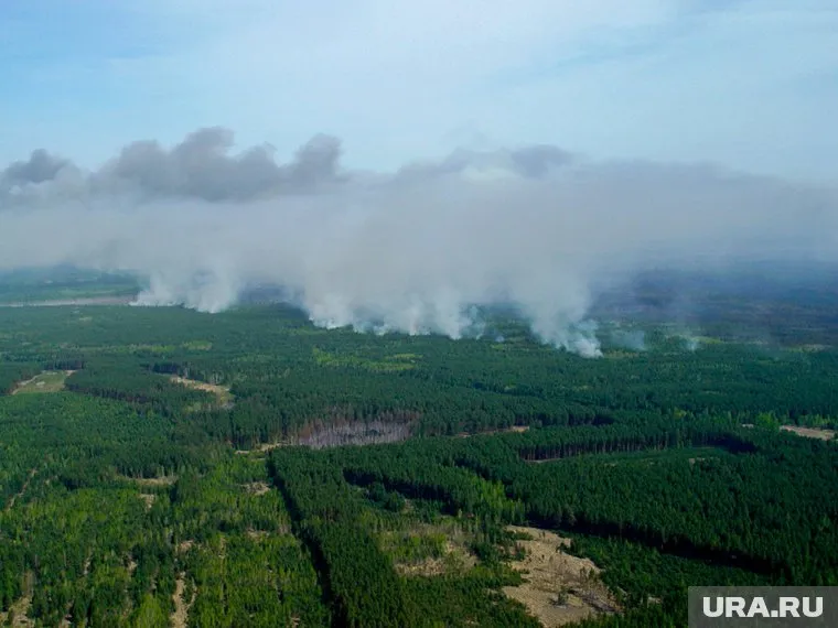 В Пермском крае горит лес на площади 5,5 гектаров