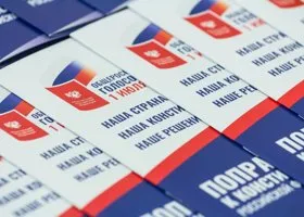 Челябинские власти выявили фейк о голосовании