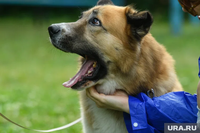 Не бойтесь слухов — правда часто оказывается страшнее