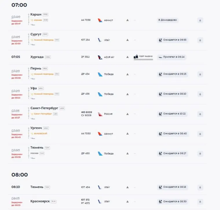 Во Внуково ввели план "Ковер"