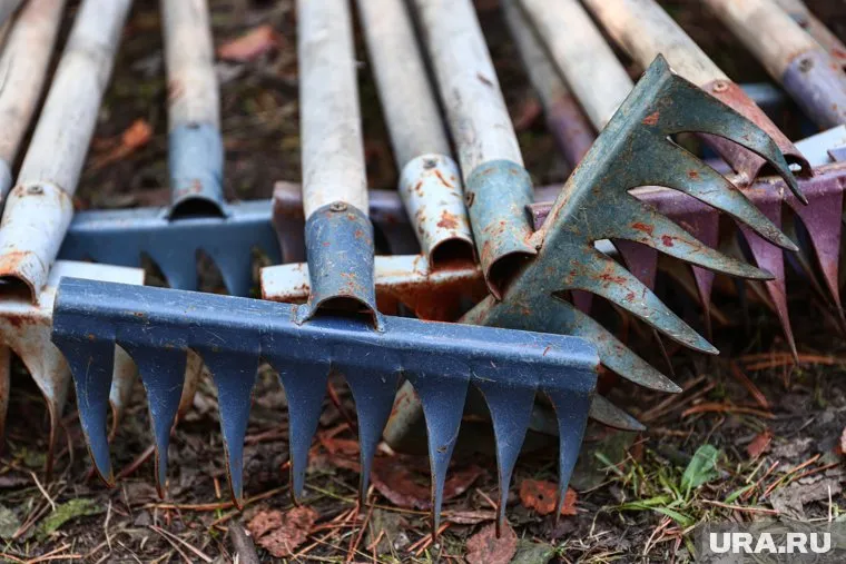 Для наведения порядка активисты выбрали символичное для многих челябинцев место