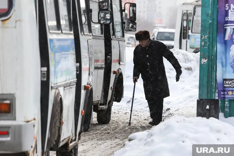 Перевозчик регулярно не выпускал автобусы на маршрут, отмечают депутаты