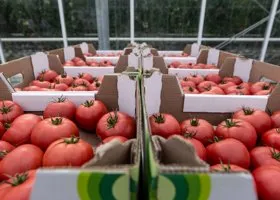 В ЯНАО депутат похвастался урожаем в память о Владимире Жириновском