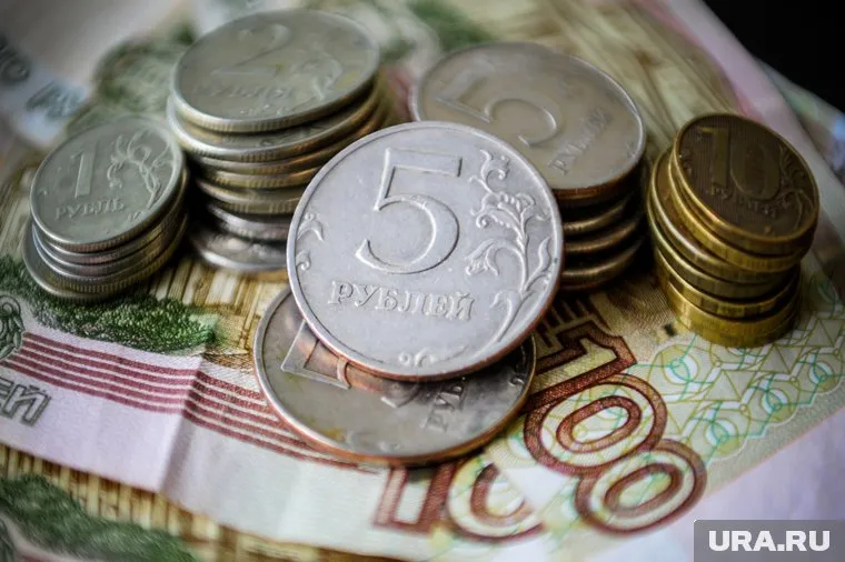 Региональные бюджеты поддержат из резервного фонда правительства