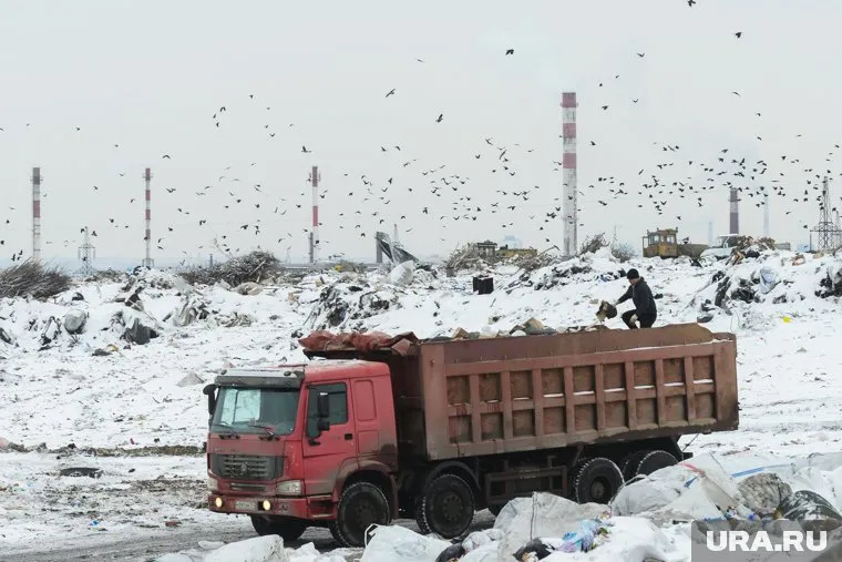 Эксперт из Общественной палаты опроверг выброс на свалке «Ядрово»