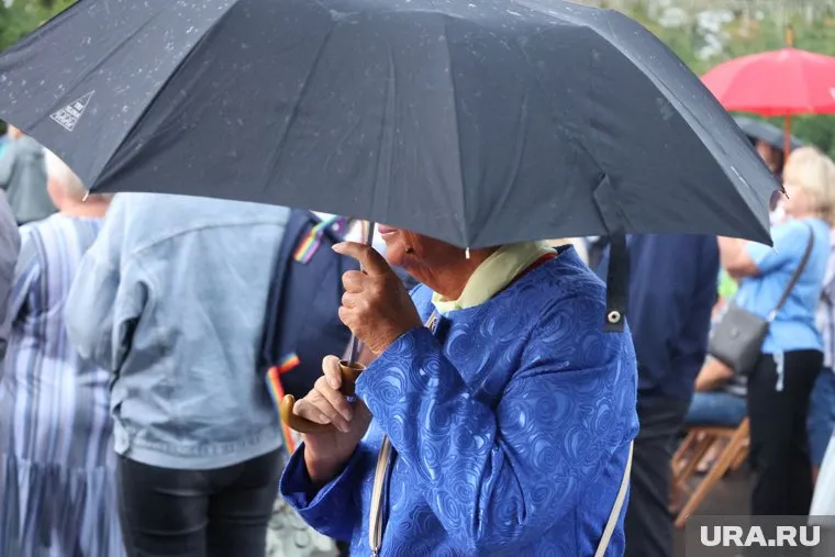 После грозы в Курганской области пройдут заморозки