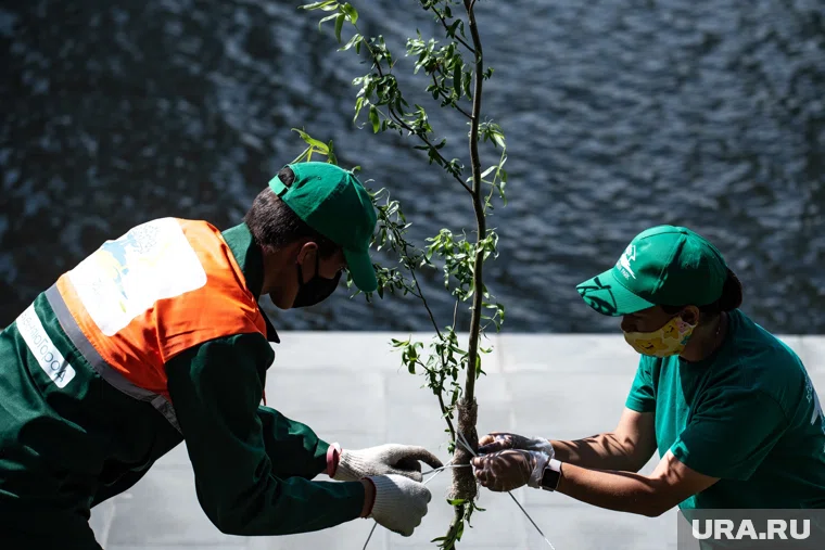 Полиция назначит проверку из-за повторного случая вандализма