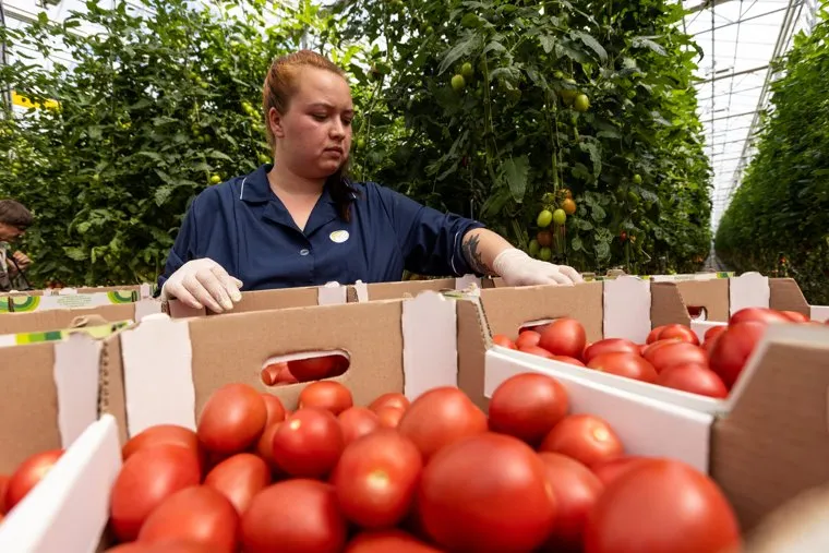 Михаил Мишустин во время посещения агрокомплекса в Кашире. Москва