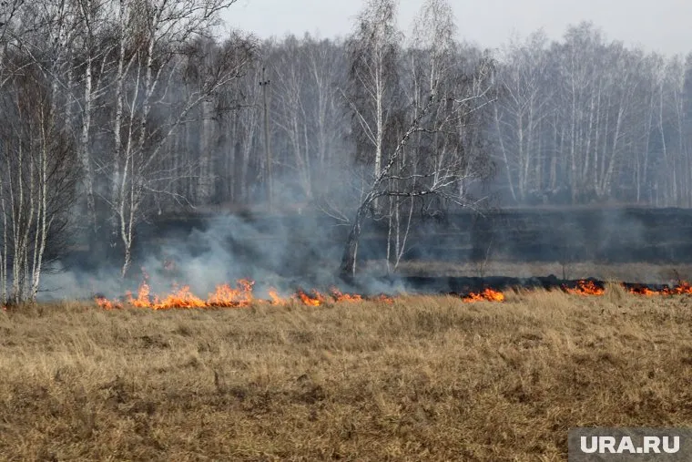 Чтобы получить 2 000 рублей за информацию о поджигателе, курганцам придется выполнить ряд условий